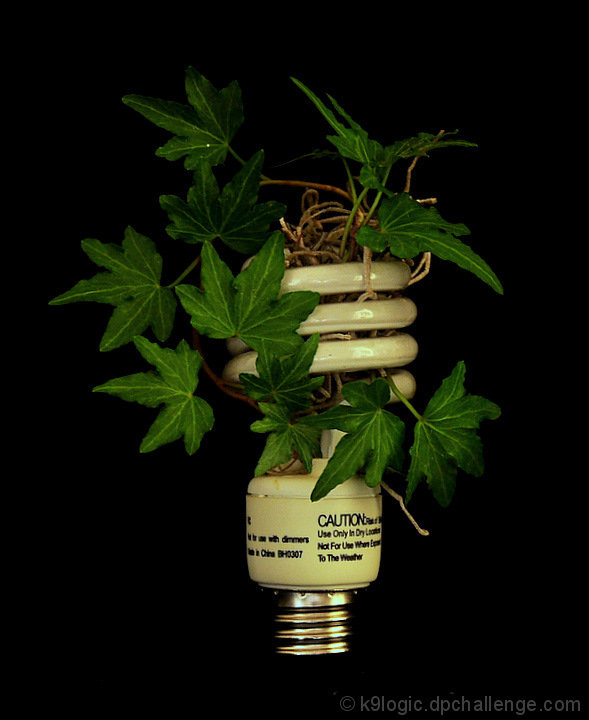 Grow Green