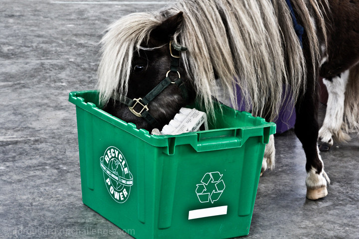 Lightning the pony recycles, why won't you?