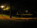 Placid Darkness