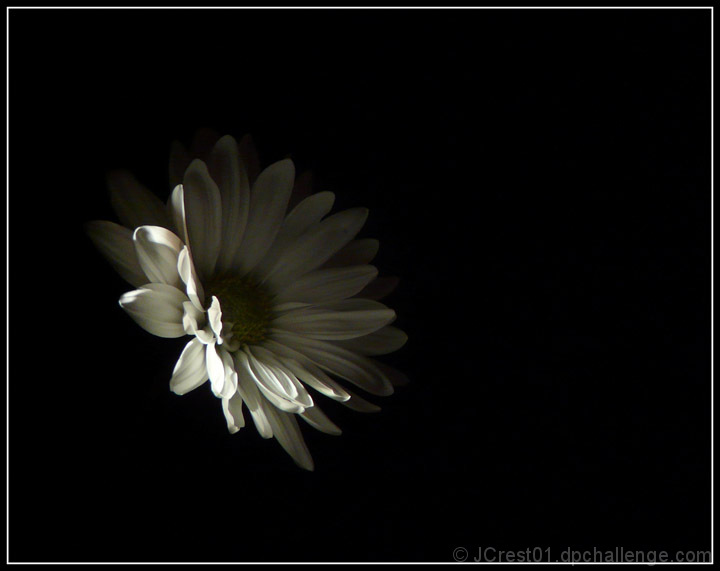 Beauty in the dark