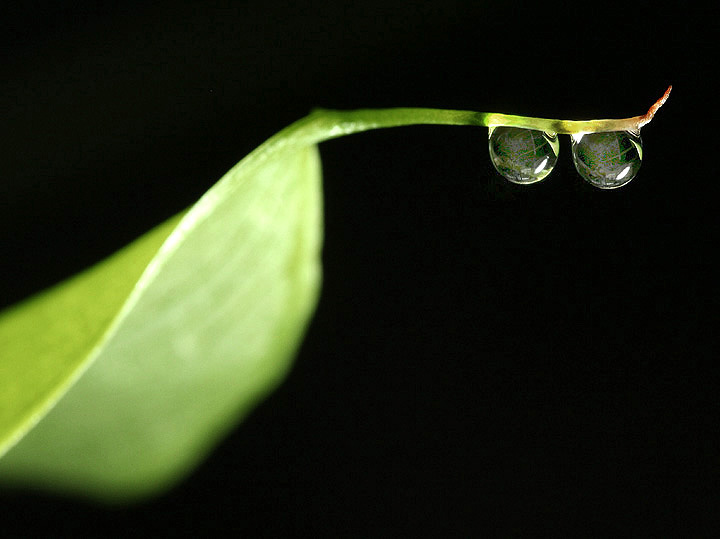 Deux Drops