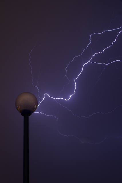 Mother Nature Replaces a Lightbulb