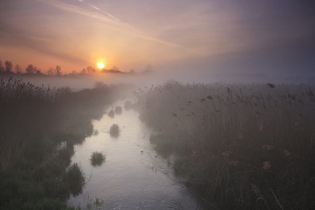 Mystical Morning