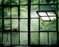 Decayed and Fresh