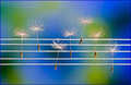 Music is in the Air
