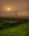 Foggy Morning on the Farm