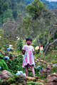 The Little Flower Seller