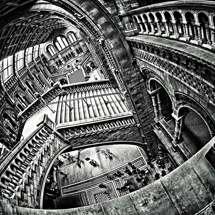 Relativity