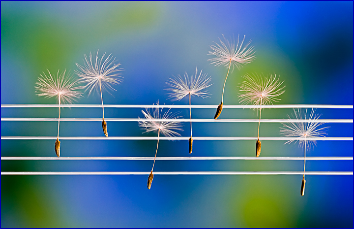 Music is in the Air