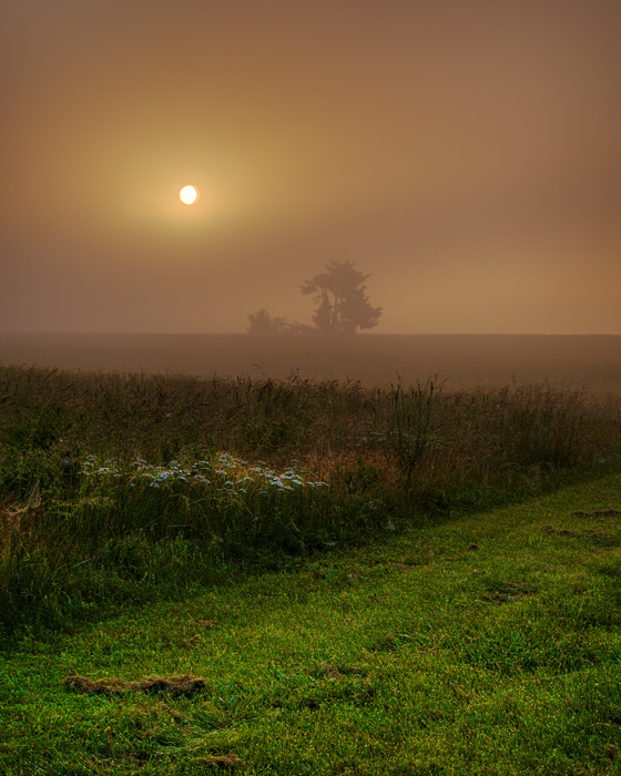 Foggy Morning on the Farm