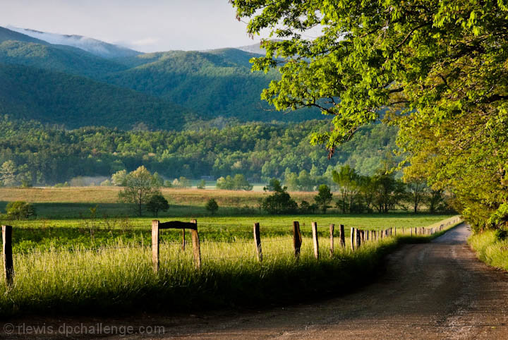 Mountain Morning