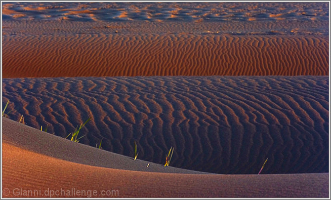 Sandwaves