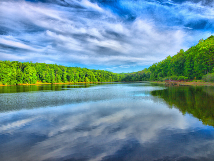 Mott's Run in Spring