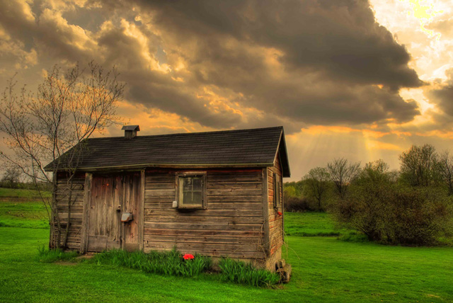 The Old Shed