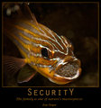 SecuritY