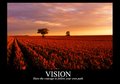 Vision