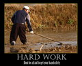 Hard Work