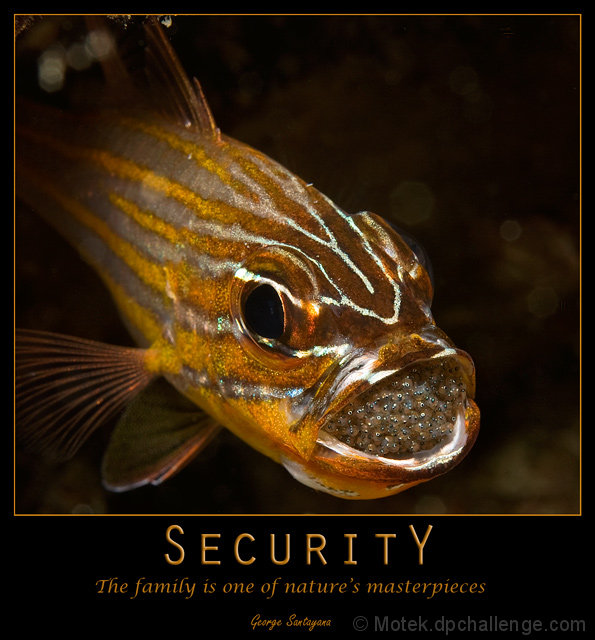 SecuritY