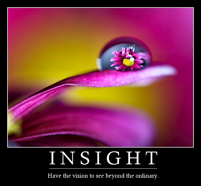 Insight