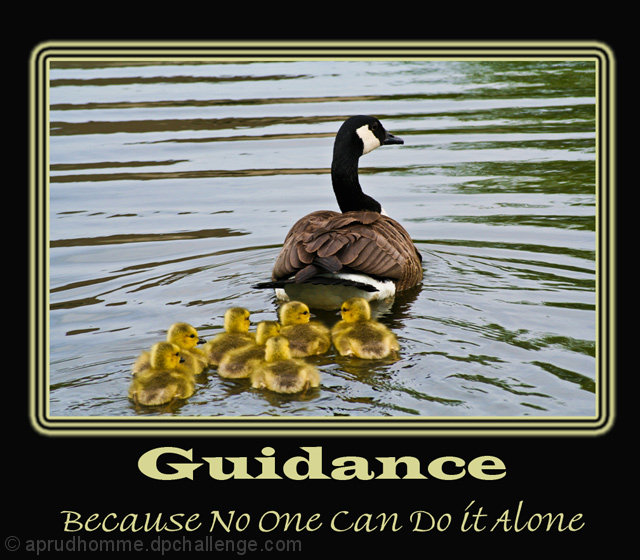 Guidance- Because No One Can Do It Alone