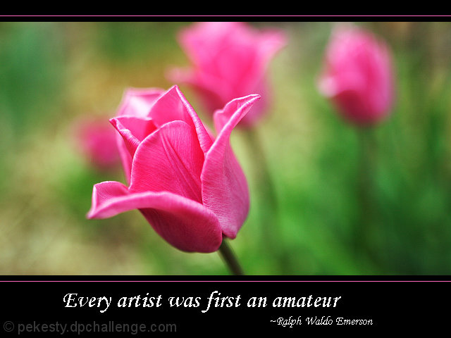 Every artist was first an amateur