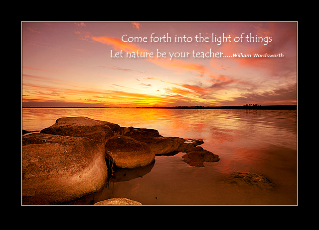 Come forth into the light of things.  Let nature be your teacher.