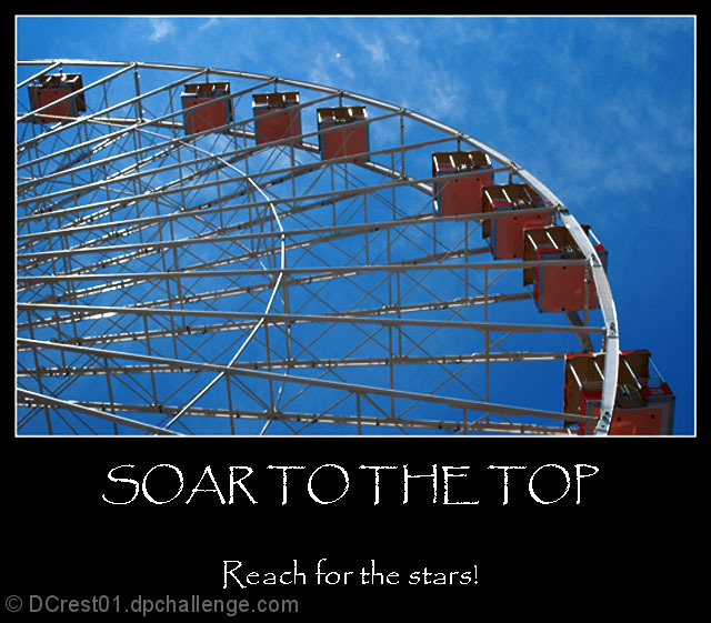 Soar to the Top