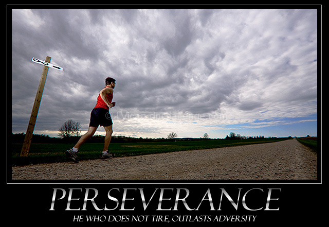 PERSEVERANCE