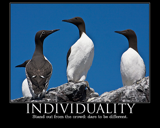 INDIVIDUALITY - stand out from the crowd: dare to be different