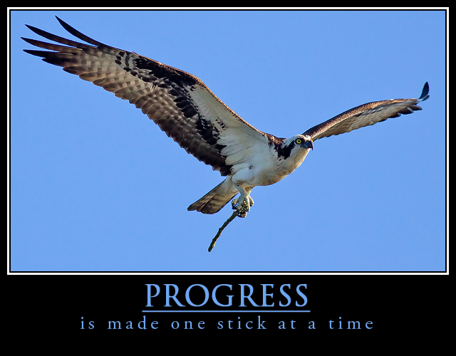 PROGRESS is made one stick at a time