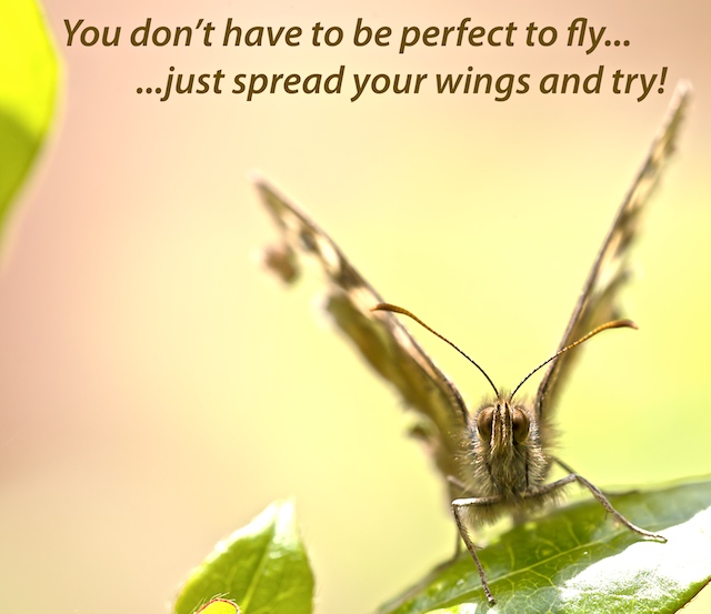 You don't have to be perfect to fly, just spread your wings and try!