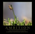 Ambition - Once you've made it to the top, be prepared to be the first mowed down.