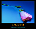 Death of a Flower