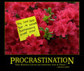 Procrastination