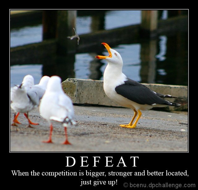 DEFEAT