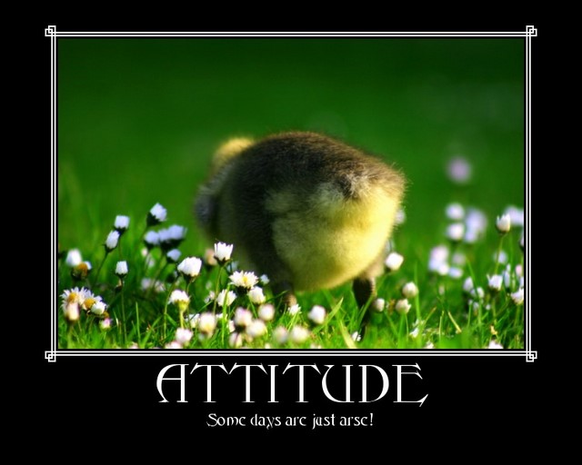 Attitude: Some days are just ARSE!
