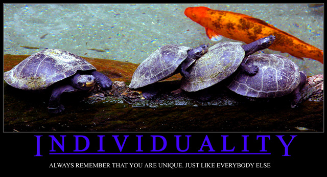 Individuality