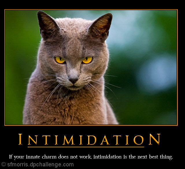 Intimidation