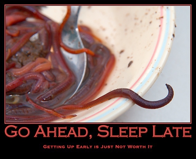 Go Ahead, Sleep Late