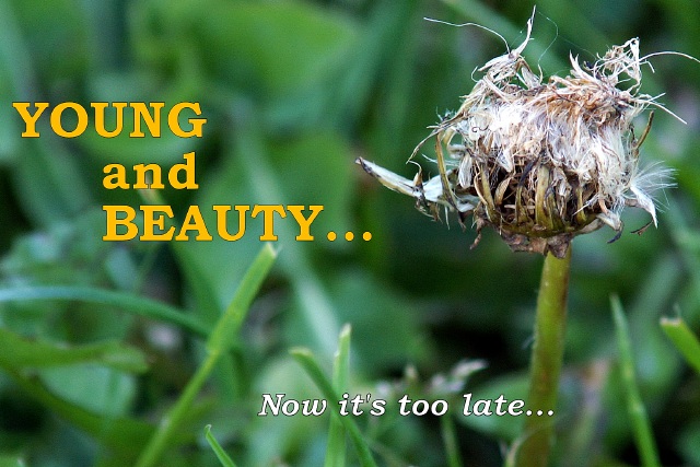 Young and beauty: Now it's too late.