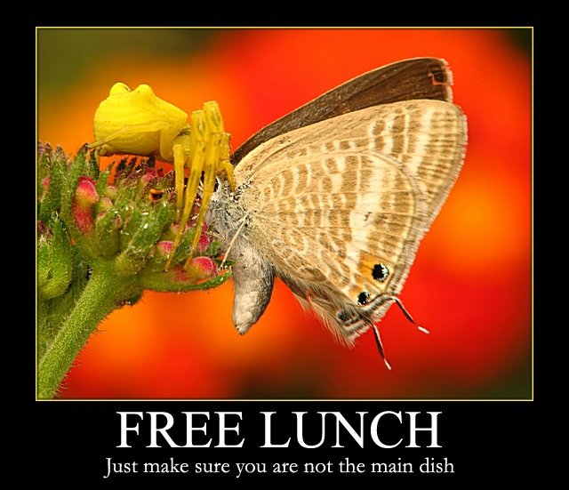 Free Lunch