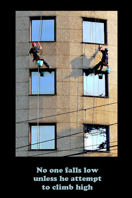 Window cleaners