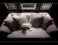 Still My Couch of Choice