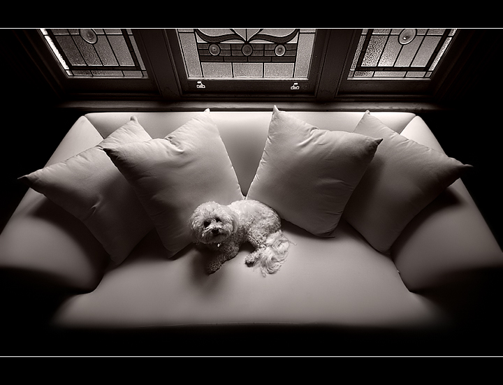Still My Couch of Choice