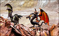 Dragon Duel