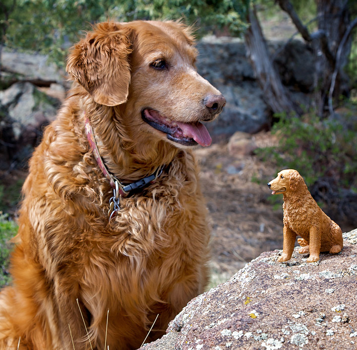 Maggie and Mini-Maggie