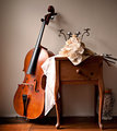 Still Life with Cello