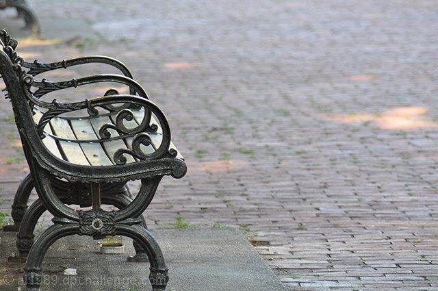 Bench For Ortiz