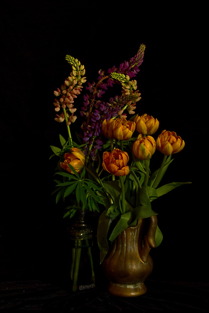 Tulips and Lupin