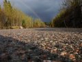 Colourful Journey